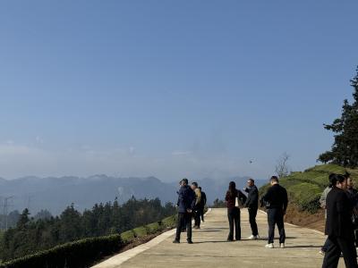 夷陵区快递物流业与三斗坪镇联合开展主题党日活动