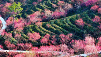 今日惊蛰｜春意渐浓，安全莫忘！