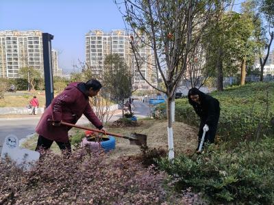 携手修剪焕新颜 美化家园暖人心