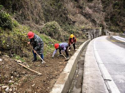 樟村坪镇砦沟村：干群同心打造公路沿线靓丽风景线
