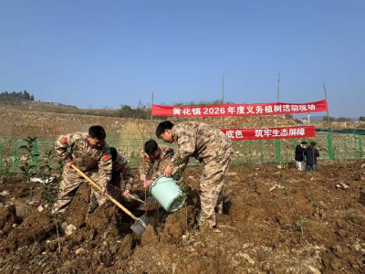 擦亮绿色底色  筑牢生态屏障