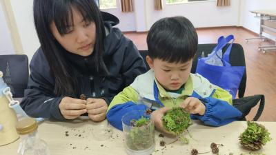 废弃物的魔法工坊：生态微景观DIY