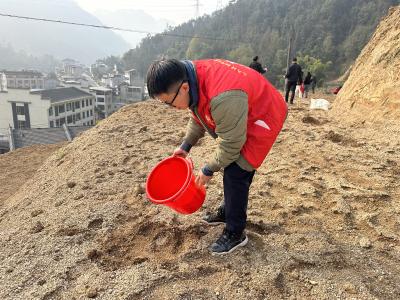 干群携手添新绿 共筑生态宜居梦 三斗坪镇开展2026年义务植树活动