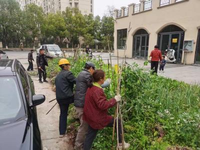 清理菜地垃圾 守护社区环境