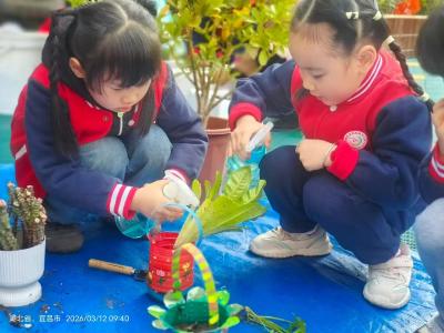 小手添新绿 童心护家园