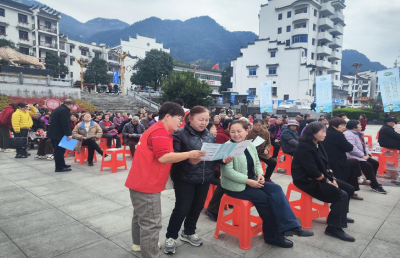 三斗坪镇：政策宣传进广场 就业服务暖民心