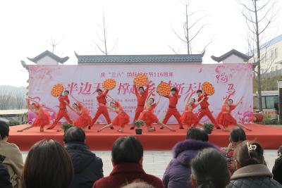 跑马岗村：榜样引领新风尚 文化盛宴润民心