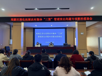 聚焦“三资”强整治 现场赋能提质效