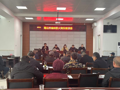 鸦鹊岭镇：防火于未“燃” 筑牢清明森林防火“安全网”