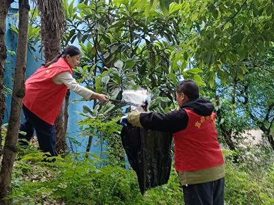 望江社区：净美高速沿线 志愿守护家园