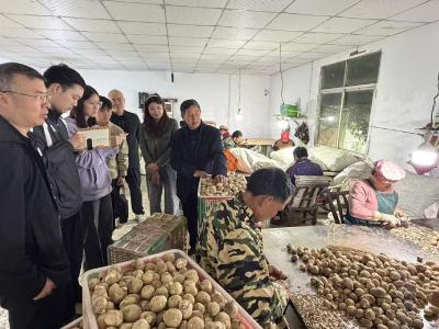 下沉一线“蹲苗” 历练执法“壮骨”