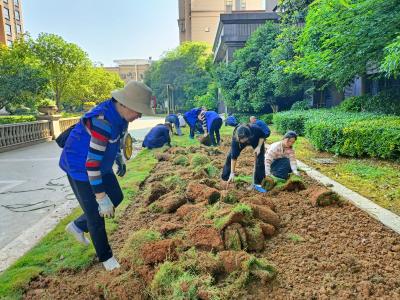 东城社区：不负春光植新绿 绘就共建新图景