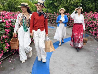 夷陵天桥花盛放 市民打卡“云上花海”