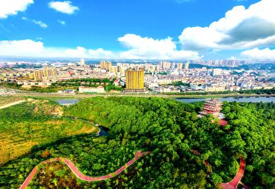 更好统筹发展和安全 为实现“十五五”良好开局营造安全稳定社会环境