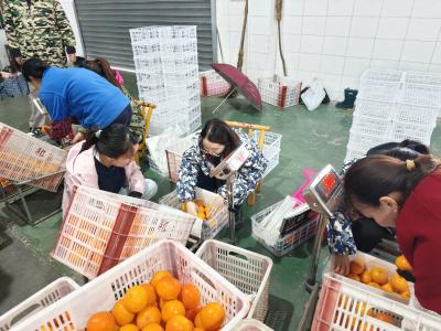 为民送暖 为企探路 为农代言——2026年青干班（第一期）“四同”教育第二日侧记