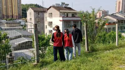 营盘社区：禁种铲毒不松懈    筑牢“零种植”安全防线