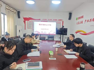 雾渡河镇：头脑风暴献良策 凝心聚力兴产业