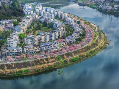 海棠花正好 夷陵醉春风