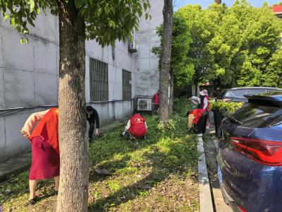 鸦鹊岭社区：整治环境清杂草 干干净净迎五一