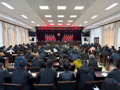 龙泉镇召开持续深化“三访三化”工作推进会