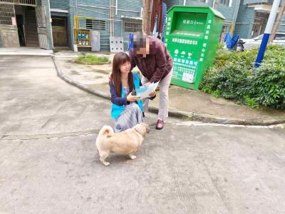 平云社区：开展文明养犬宣传 筑牢社区安全防线