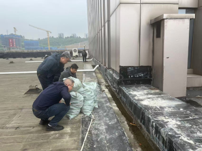 区机关事务服务中心全力做好极端天气防范应对工作