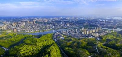 夷陵区召开区委常委会（扩大）会议