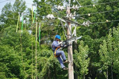 夷陵供电：百人“兵团”高效攻坚 优化乡村网架结构