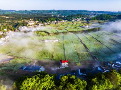 南垭晨雾恍若仙境