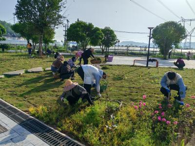 法官泉村：村民齐动手 家园焕新颜