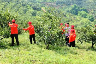 劳模工匠助企行 赋能农管促丰收