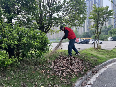 锦江社区：洁净家园 你我同行