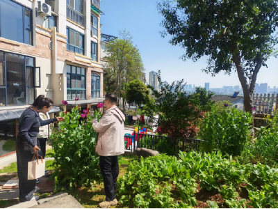 峡江社区：拉网排查无死角 禁毒宣传入人心