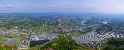 相聚嘉馥田园 定格生态画卷