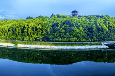 昔日荒山今日“氧吧” 五十载守护绘就夷陵绿色画卷