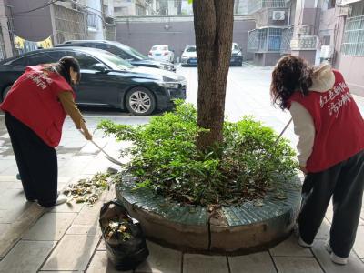 朝阳社区：志愿红扮靓老巷 清死角焕新家园