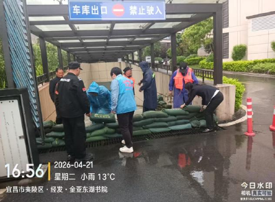 东城社区：以练筑防，闻汛而动