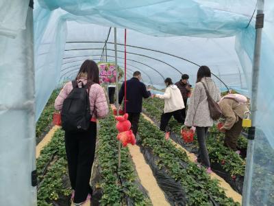 龙泉：一杯咖啡，激活乡村文旅活水