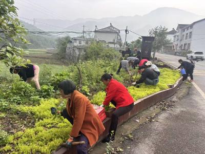【新时代文明实践】普溪河村：村民齐上阵，扮靓清洁家园