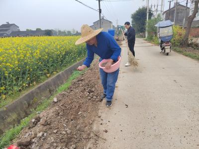 鸦鹊岭镇：整治路域播花种 美化家园展新颜