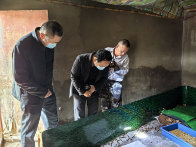 鸦鹊岭镇林业部门为村民蜈蚣养殖开良方