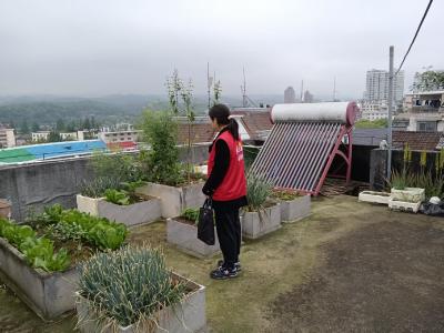 朝阳社区：楼顶私房细排查 禁种铲毒筑防线