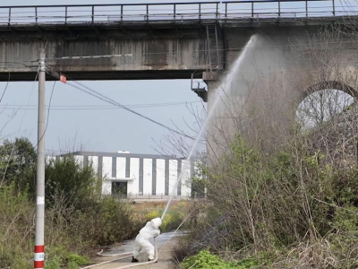 鸦鹊岭镇：技术赋能除蜂患 为民解忧护平安