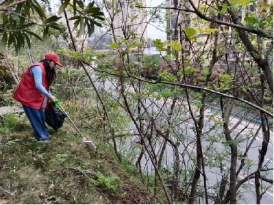 港虹社区：攻坚快速路沿线环境整治 筑牢城市“颜值防线”