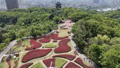 繁花森跑聚亲情 健康同行展风采——夷陵区第二届森林公园亲情趣味健康跑欢乐开跑