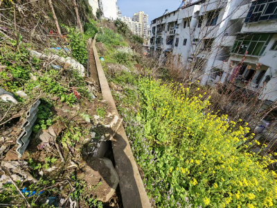 冯家湾社区：闻“汛”而动除隐患  筑牢安全“防护提”