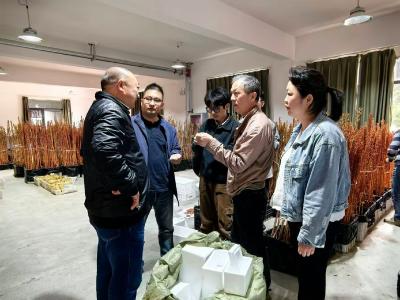 华农夷陵携手共进 科技赋能乡村振兴