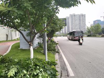 绿洲社区：绿洲码上办 为民解忧提速增效