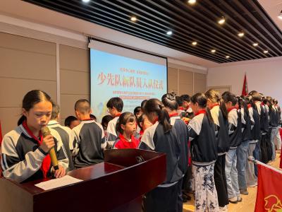 童心向队迎成长 薪火相传筑梦想