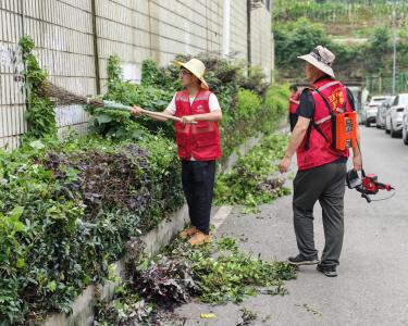 冯家湾社区：修剪绿植美环境 志愿服务暖街巷
